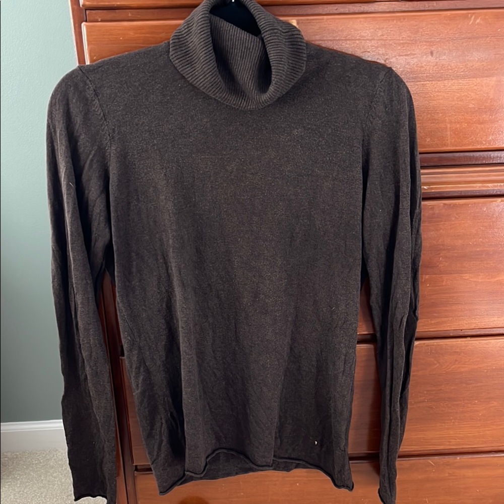 The Limited Brown Turtleneck Sweater